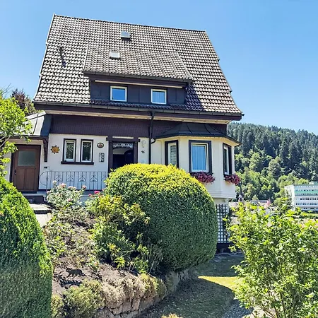 Maier-1 By Interhome Appartamento Triberg im Schwarzwald