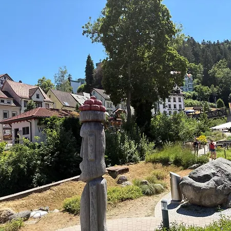 Appartamento Maier-1 By Interhome Triberg im Schwarzwald