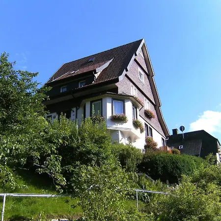 Maier-1 By Interhome Appartamento Triberg im Schwarzwald